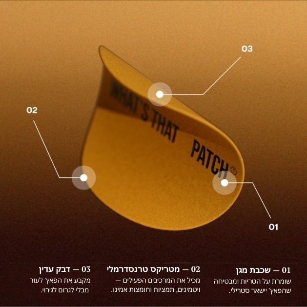 קרייב קונטרול שלבים